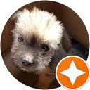 S Rivera profile picture